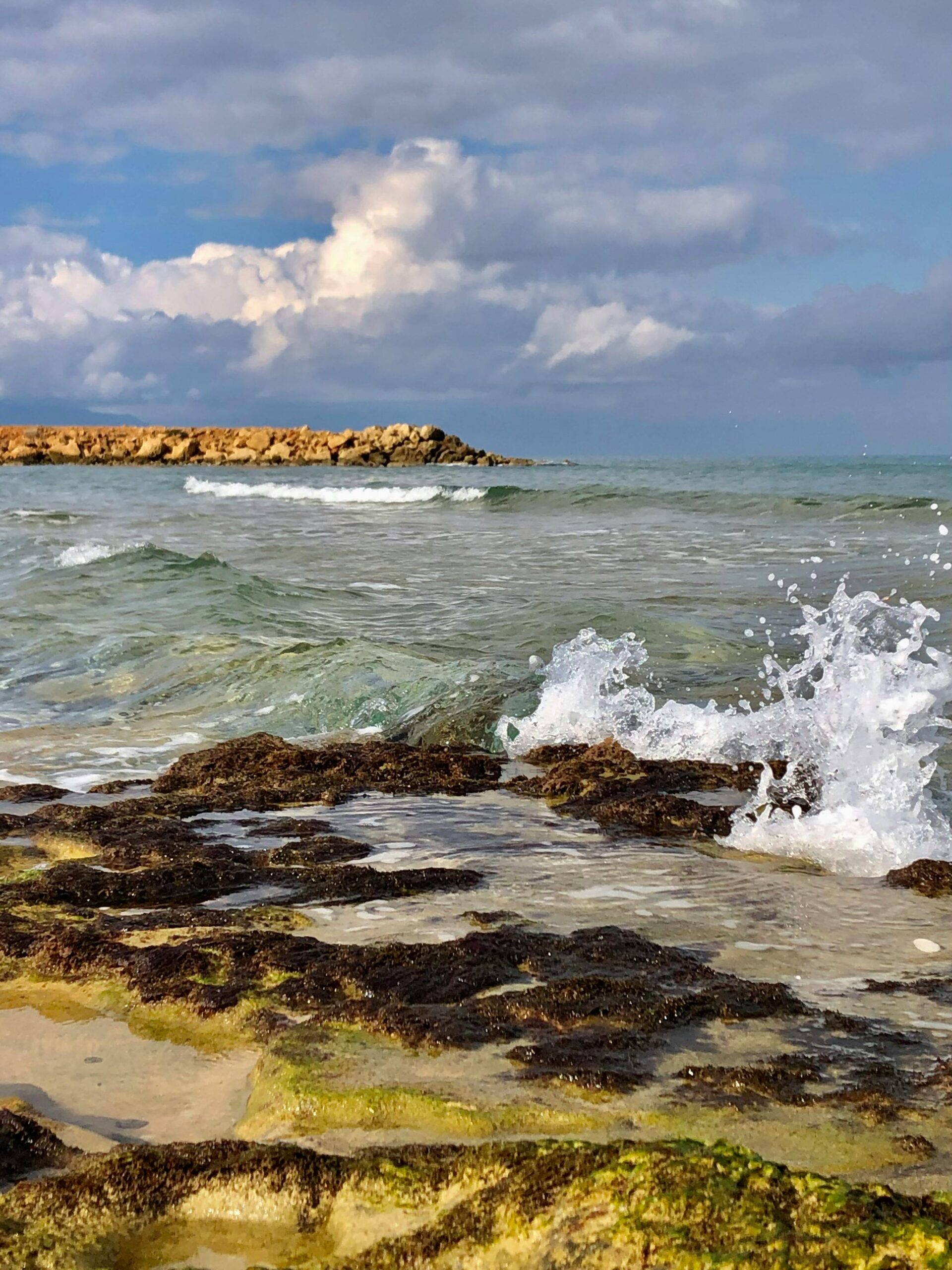 Capturing the essence of nature with waves crashing on a rocky shoreline under a cloudy sky.